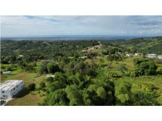 New on market! Close by El Yunque Rainforest!