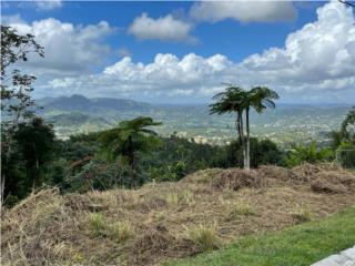 Cerro Gordo Puerto Rico