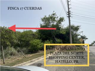 REMARKABLE PROPERTY NEXT TO PLAZA DEL NORTE!