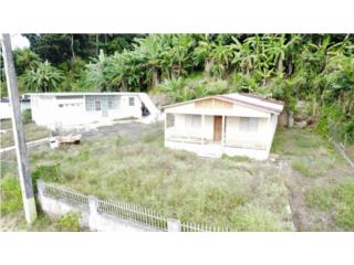 2 Casas ubicadas en Bo. Cibuco III, Corozal