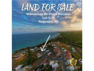 Mansiones De Playa Hucares Puerto Rico
