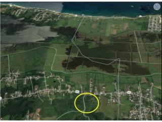 106 Acres of Vacant Land in Arecibo