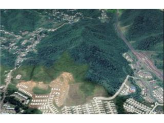 186.5 Acres of Vacant Land in Gurabo FOR SALE