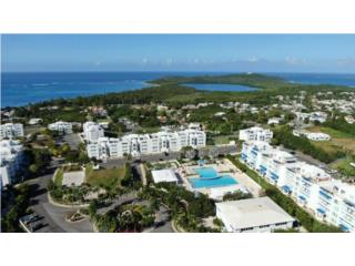 *GARDEN @ Condo Ocean Club At Seven Seas*