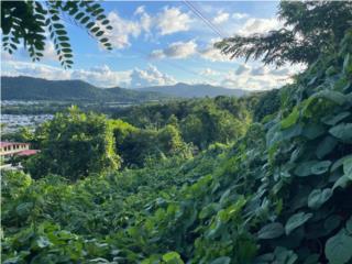 HERMOSA FINCA DE 7 CUERDAS CON VISTA