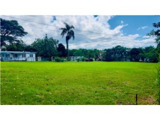 Flat Land Lot  Carr 402 Bo Hatillo Anasco