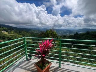  HACIENDA LA JULITA - FINCA CON 125 CUERDAS 