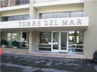 Torre Del Mar Ocean View Price REDUCED!   