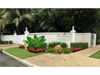 BOSQUE DEL MAR BEAUTIFUL 