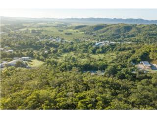 54 Acres - PR 100 - Cabo Rojo for Sale