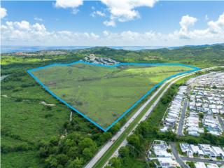 135 Acres Residential Development Opportunity