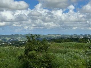 Finca 52.71cds, Ciales, $1.4 M