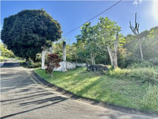 Barrio Cedros carretera 185