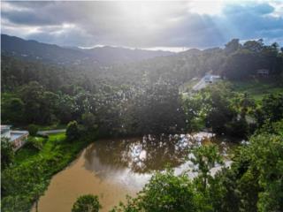 Lake House in Guavate