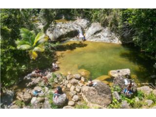 Finca 176 Cuerdas con Residencia en Cayey.