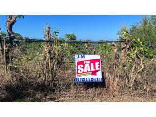 Lot for Sale in Pedernales, Cabo Rojo 
