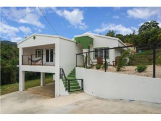 For Sale House w/ Pool Rio Grande Mameyes