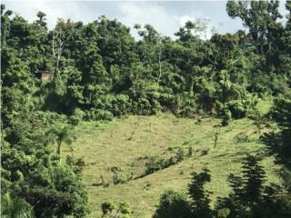 Venta de terrenos llano y semillano en Caguas