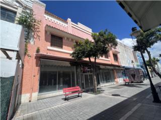 Ponce Commercial Property in Paseo Atocha