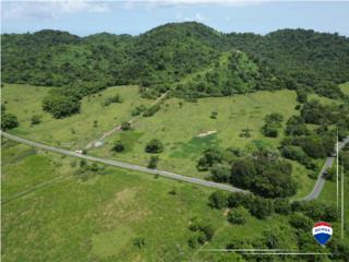 Descubre esta finca para la venta en Humacao!