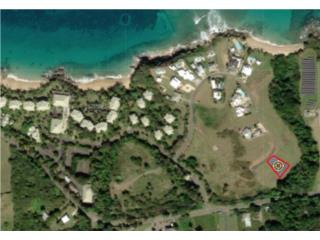 Lot #27 Martineau Beach Estates - Vieques, PR