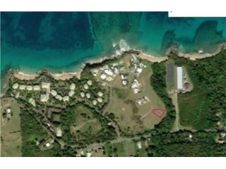 Lot #26 Martineau Beach Estates - Vieques, PR