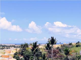 Haciendas De Palmas Del Mar Puerto Rico