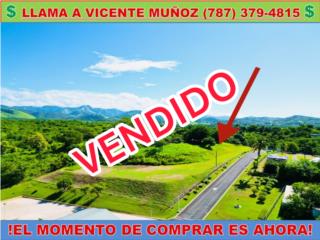 ALMACIGO BAJO- COMERCIAL O RESIDENCIAL 