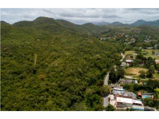 196 Cuerdas for Sale in Ponce