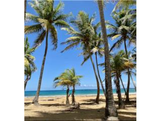 Playa Azul Puerto Rico