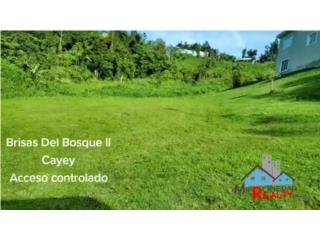 Urb. Brisas Del Bosque ll Cayey 