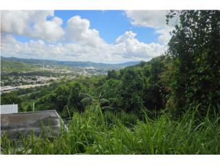 Quebrada Arriba Puerto Rico