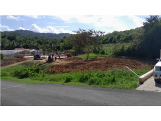 Hacienda Amparito Puerto Rico