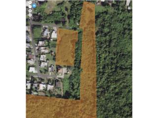 4 cuerdas de terreno para desarrollo Isabela 