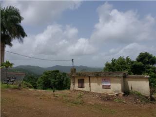 FINCA HERMOSAS VISTAS FINAL CALLE