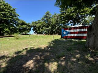 Joyuda Puerto Rico