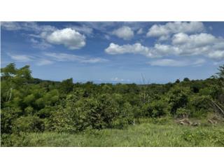 Pedernales Puerto Rico