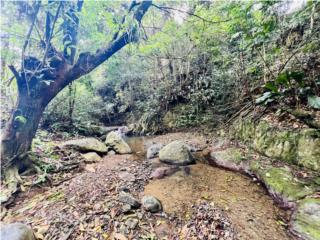 Saltos Puerto Rico