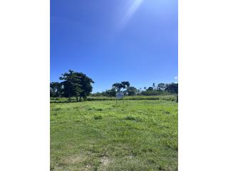 LAND FOR  SALE BO.JOBOS ISABELA-1700MTRS