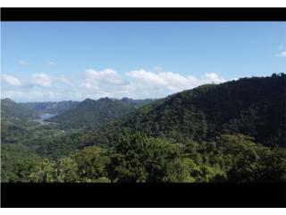 Finca con llanos y Vistas Panoramicas