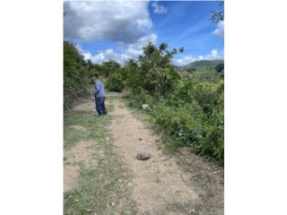 2,000 m2 de Solar en el Campo 