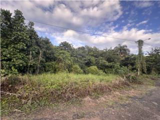 Terreno de 5,071.64 metros en Angeles, Utuado