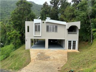 BO. FARALLN, CAYEY