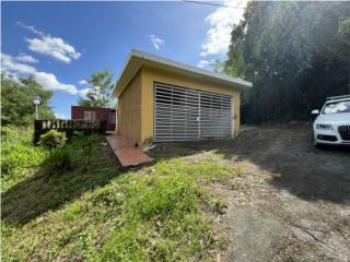 Casa en Venta Bo San Antonio Caguas, PR 