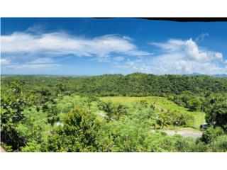 Farm Paradise! 1.98 Acres in Carolina, PR 