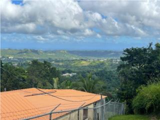Finca En Corozal