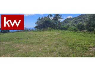 BO. PALMAS, TERRENO EN GUAYAMA