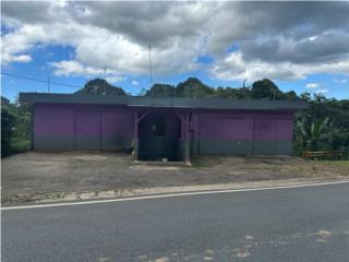 Propiedad mixta en Bo. Fronton, Ciales
