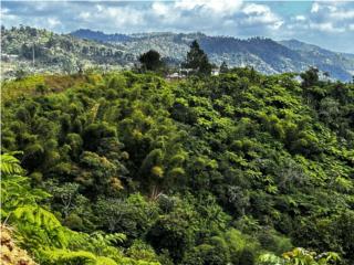 Tope de solar en lo ms alto de la finca