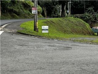 Estancias Del Cafetal Puerto Rico